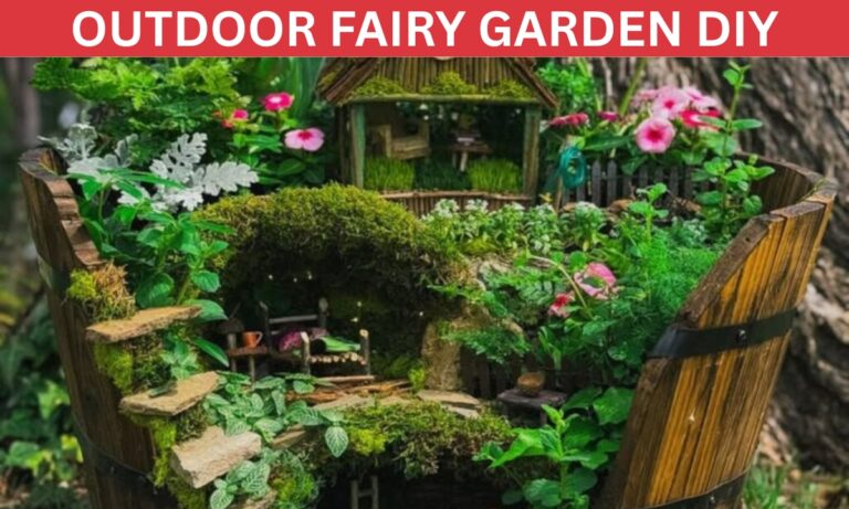 Outdoor Fairy Garden DIY Ideas