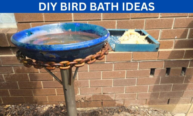 DIY Bird Bath Ideas
