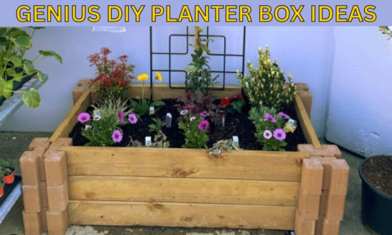 Planter Boxes DIY Ideas