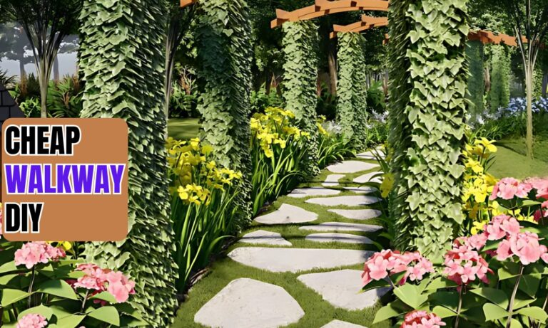 Cheap Walkway DIY Ideas