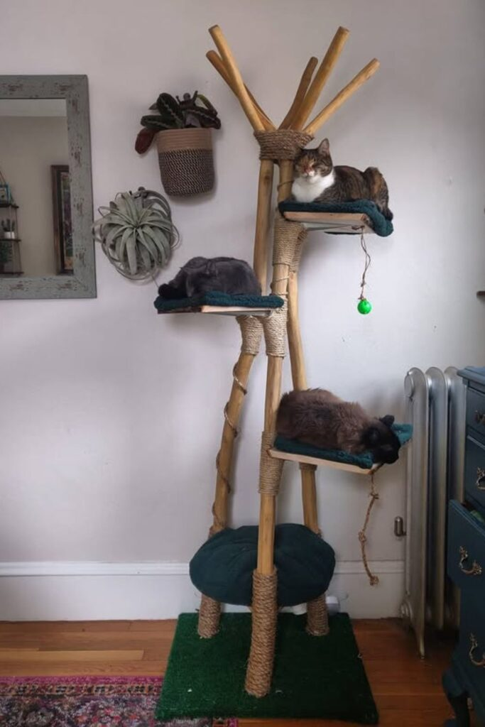 DIY Cat Tree Ideas
