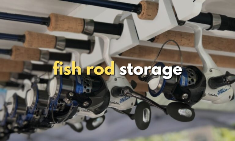 19 Fishing Rod Storage Ideas for 2026